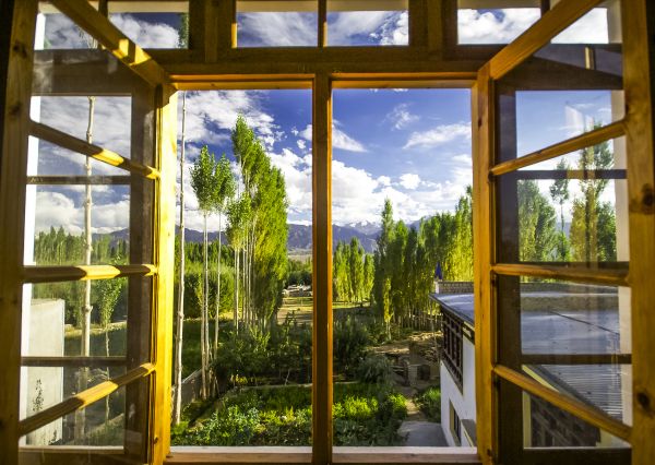 Cost of Wood Window Replacement in Rockledge