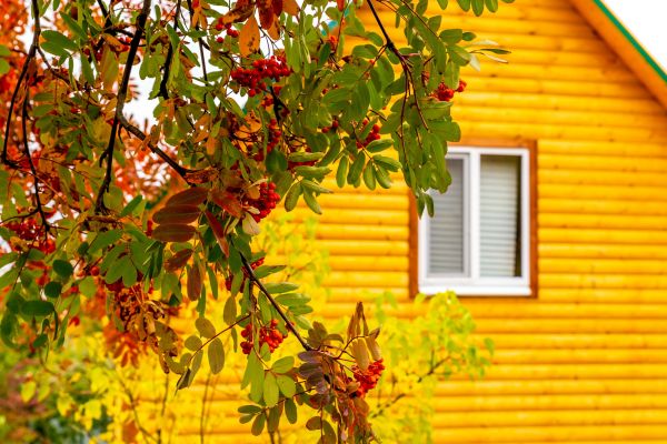Cost of Garden Window Replacement in Rockledge